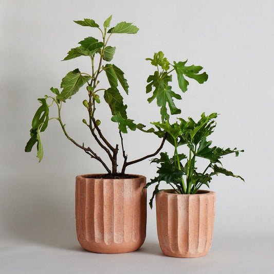 Fluted Planter