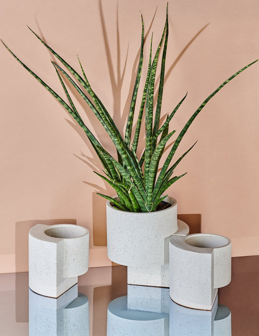 Platform Planters Minimalist Trio
