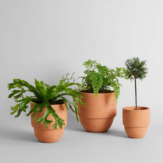 Big Cuff Planter